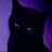 Cody_Volkov